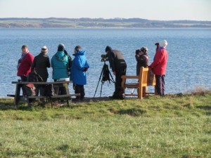 Enthusiastic birdwatchers